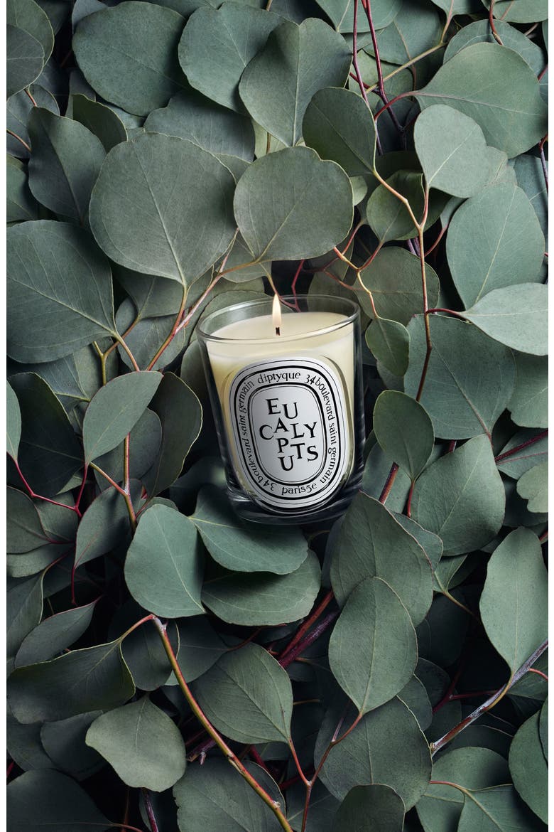 Eucalyptus Classic Candle, Alternate, color, NO COLOR