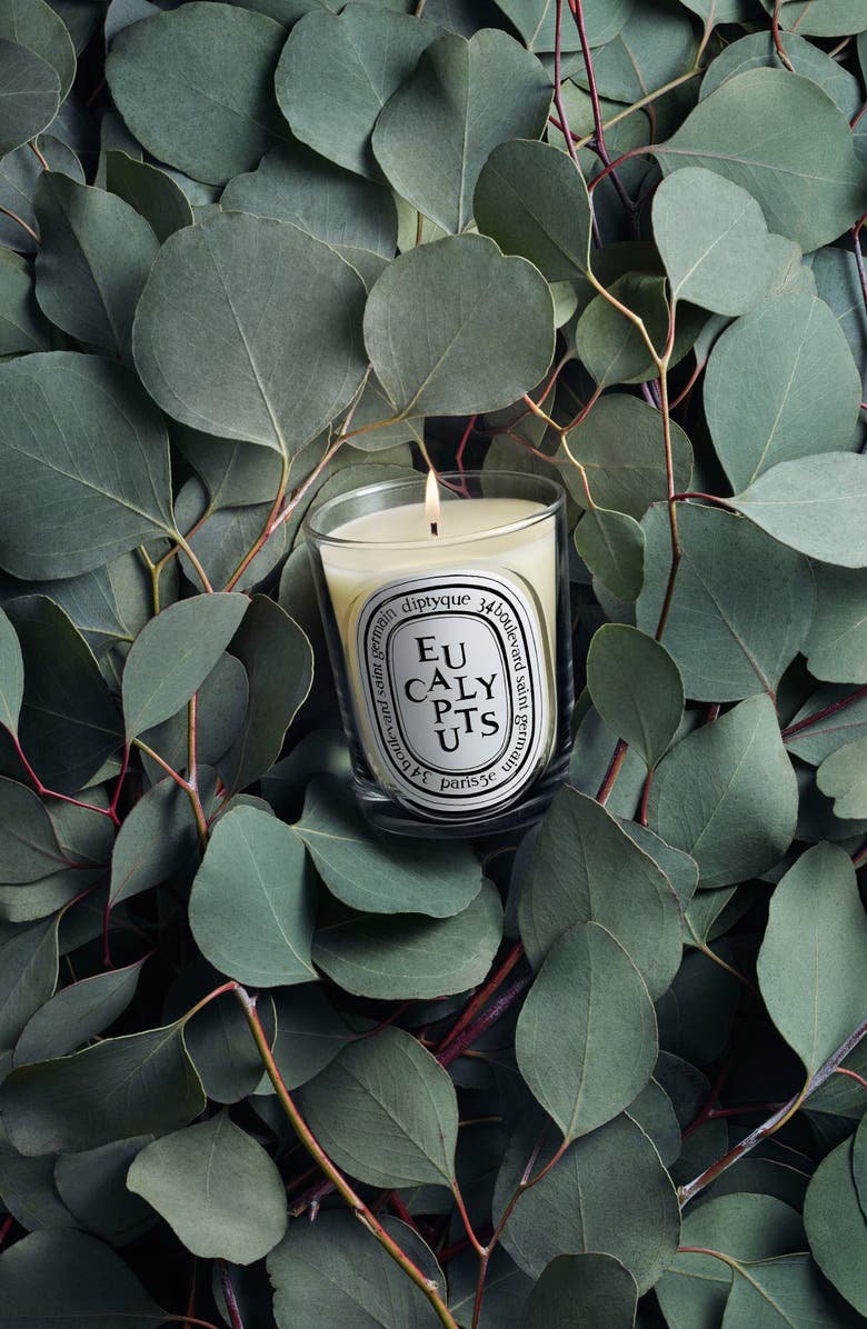 Diptyque Eucalyptus Classic Candle, Alternate, color, 