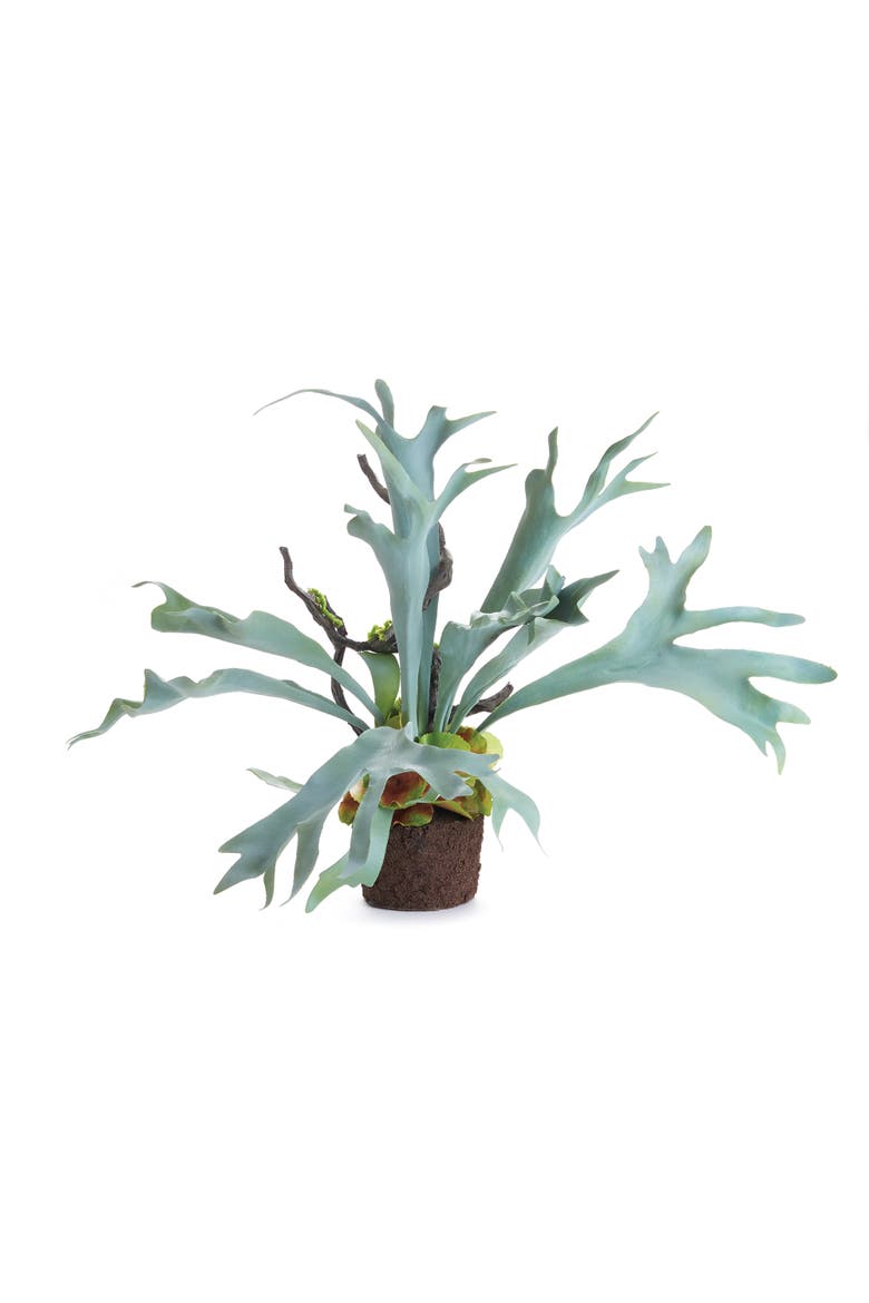 Staghorn Fern Drop-In 22", Main, color, Green