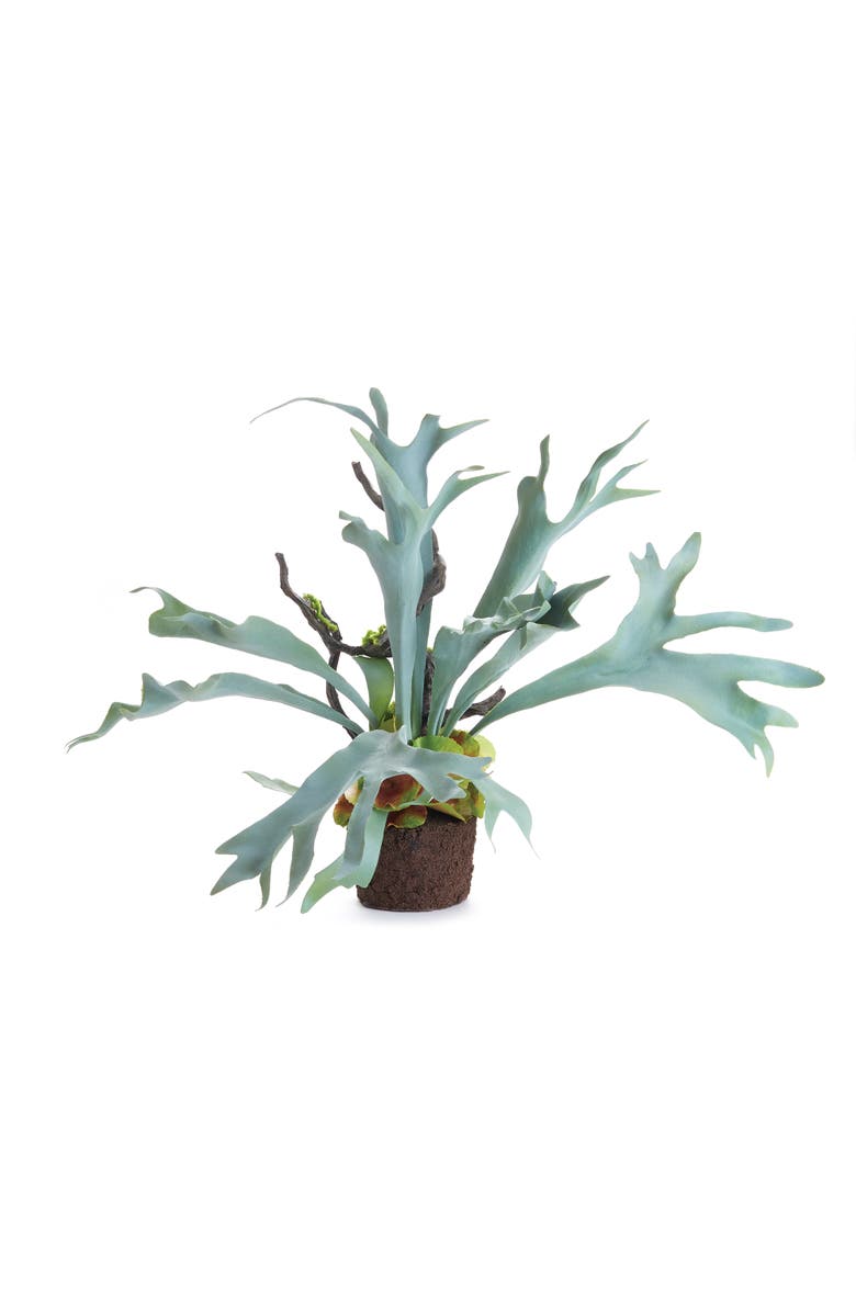 Napa Home & Garden Staghorn Fern Drop-In 22", Main, color, 