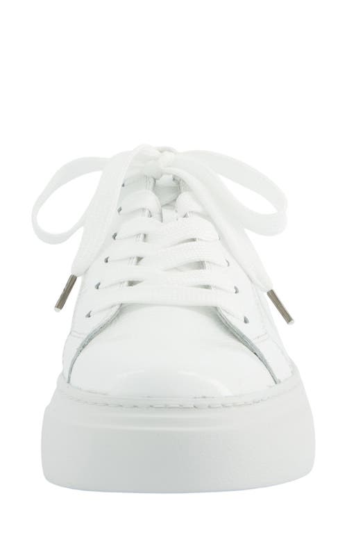 Paul Green Dumont Sneaker In Multi