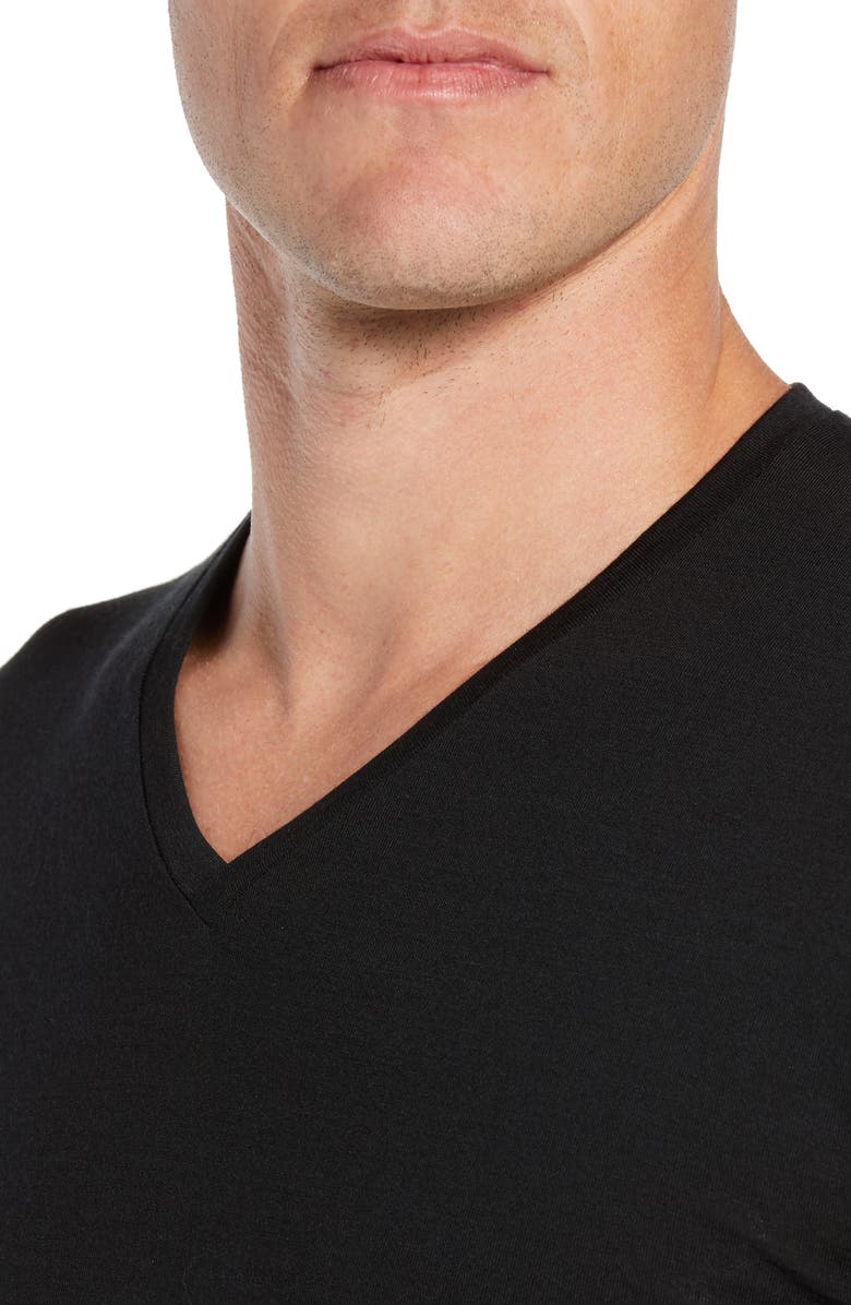 Icebreaker Anatomica Short Sleeve V-Neck T-Shirt, Alternate, color,