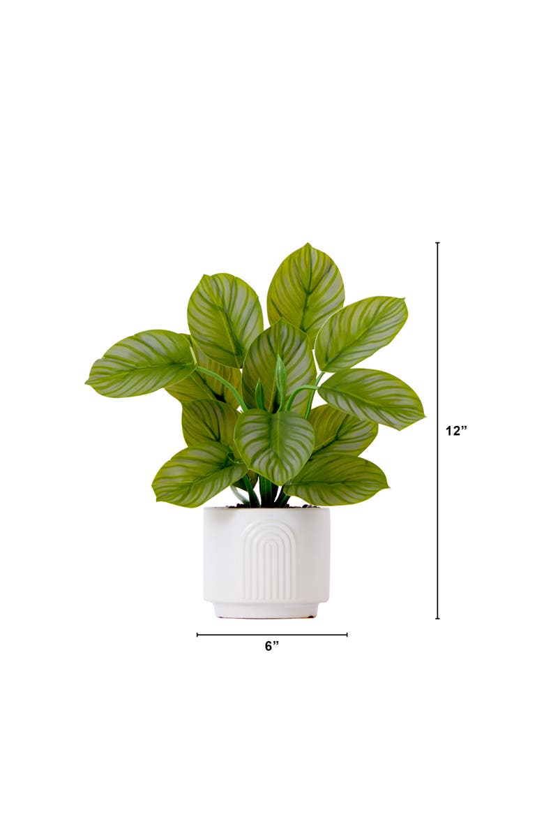 12-in Artificial Calathea Plant with Decorative Planter, Alternate, color, Green