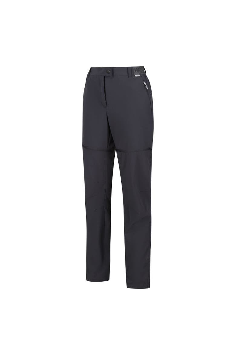 Mountain Zip-off Pants, Alternate, color, Seal Grey
