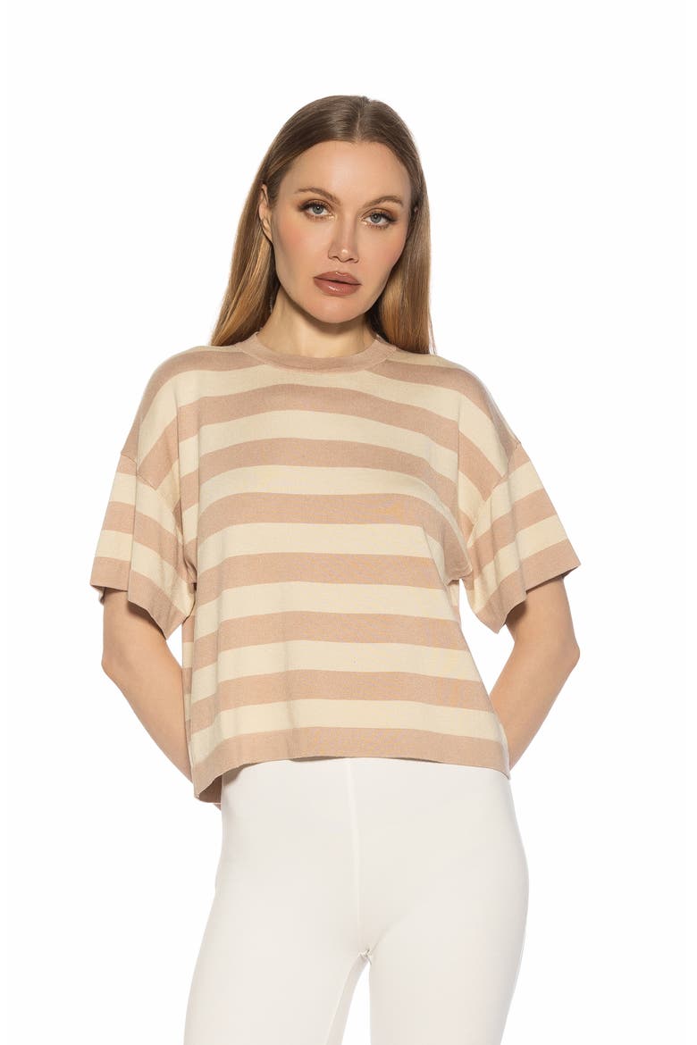 Remy Stripe Short Sleeve Top, Alternate, color, BEIGE