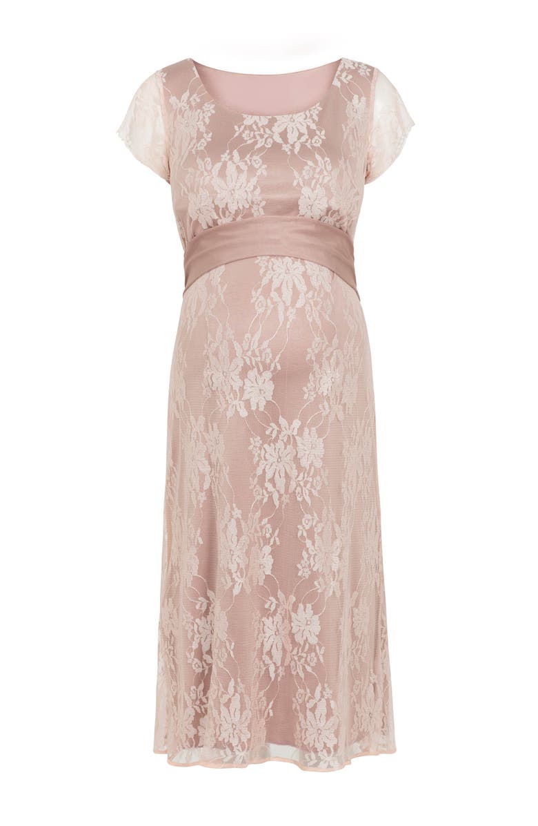 Tiffany Rose Maternity April Nursing Dress, Alternate, color,