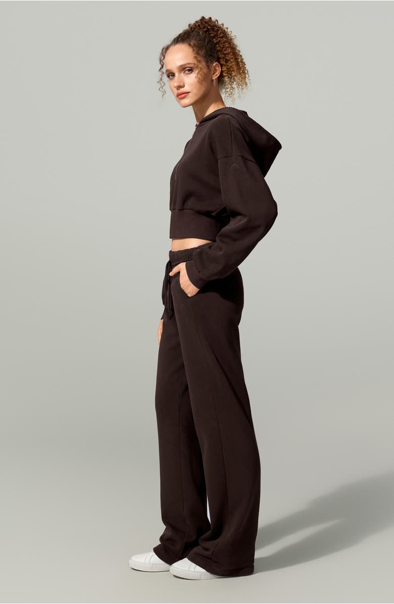 Lilysilk SILKERRY Cropped Fit Seamflow Drift Full-Zip Front Closure Sweatshirt, Alternate, color, Espresso