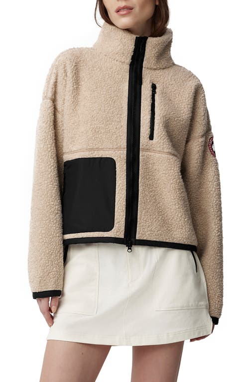 Canada Goose Womens Light Tan-tan Clair Simcoe Fleece Wool-blend Jacket Xs In Brown