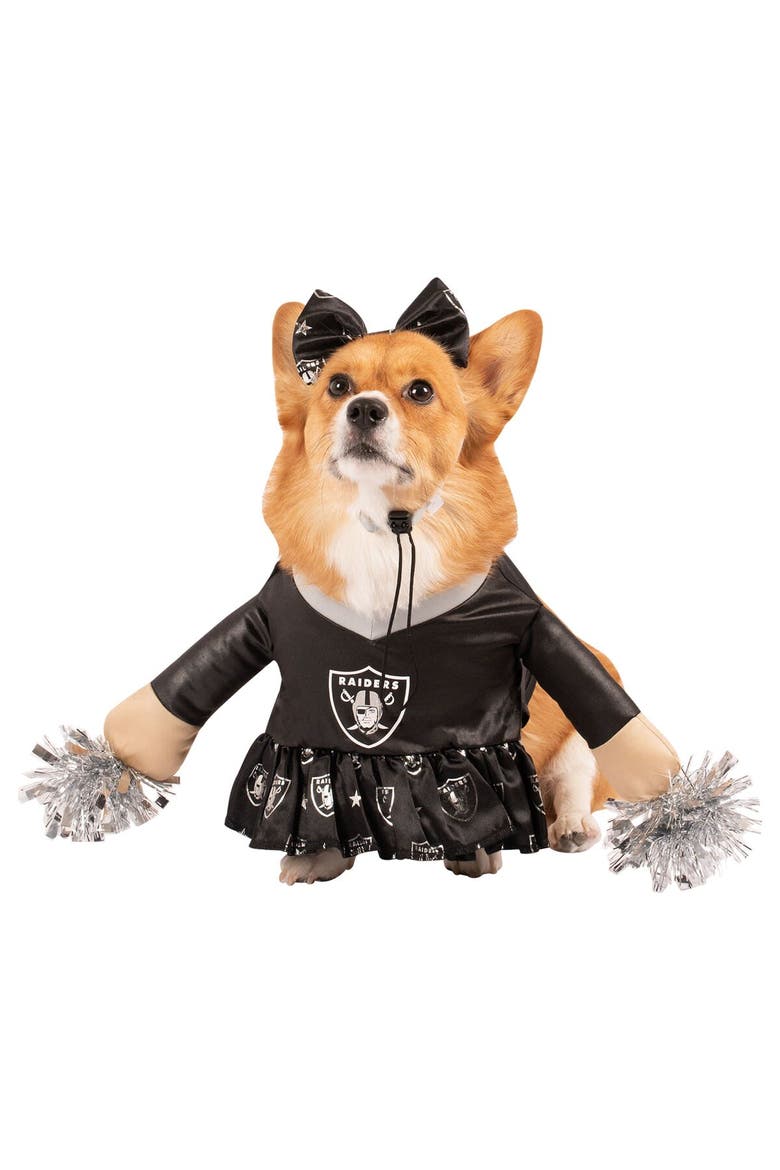 Las Vegas Raiders Cheer Dog Costume, Alternate, color, Black