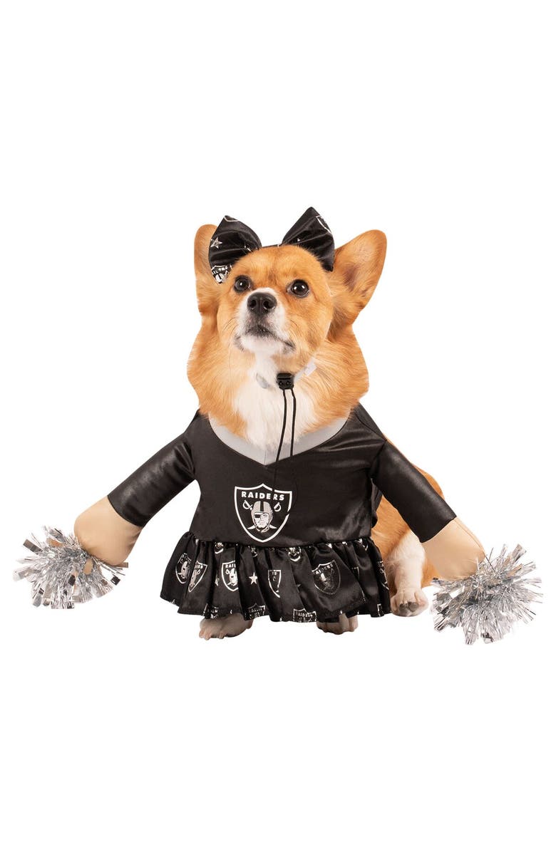 JERRY LEIGH Las Vegas Raiders Cheer Dog Costume, Alternate, color, Black