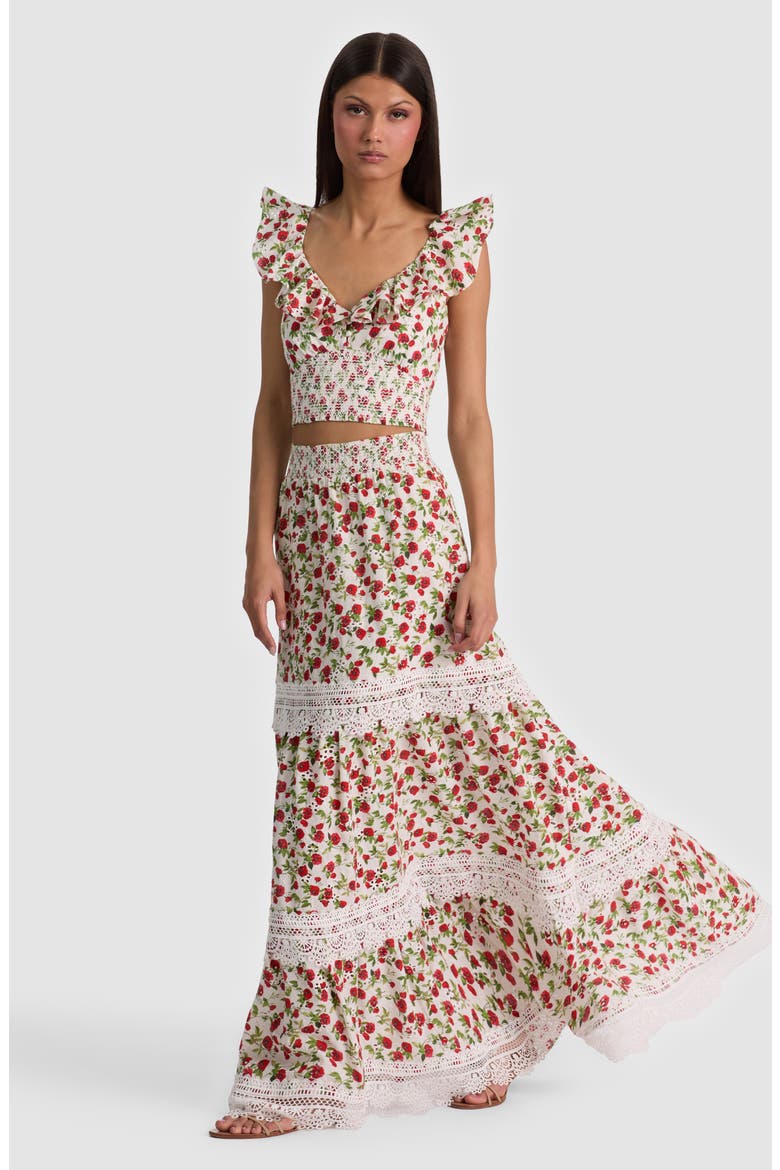 Reise Embroidered Tiered Maxi Skirt, Alternate, color, SUMMER POPPY SM