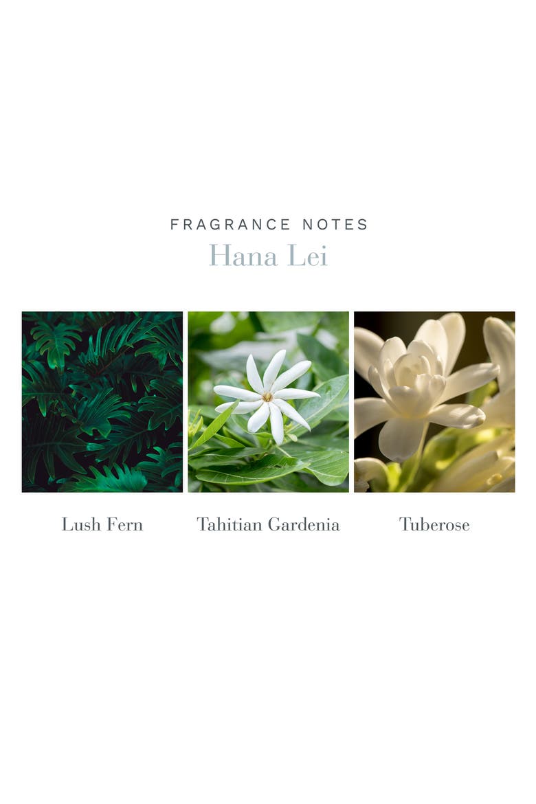Hana Lei Home Ambiance Perfume, Alternate, color, NO COLOR