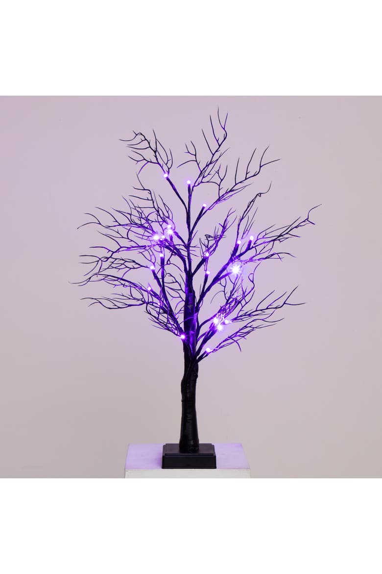 2-ft Pre-Lit Halloween Deluxe Black Twig Artificial Fall Tree with 44 Orange and Purple LED Lights, Alternate, color, Black
