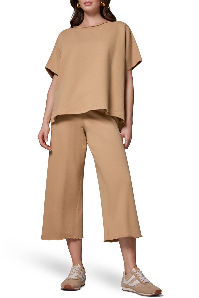 Cotton French Terry T-Shirt, Alternate, color, FAWN