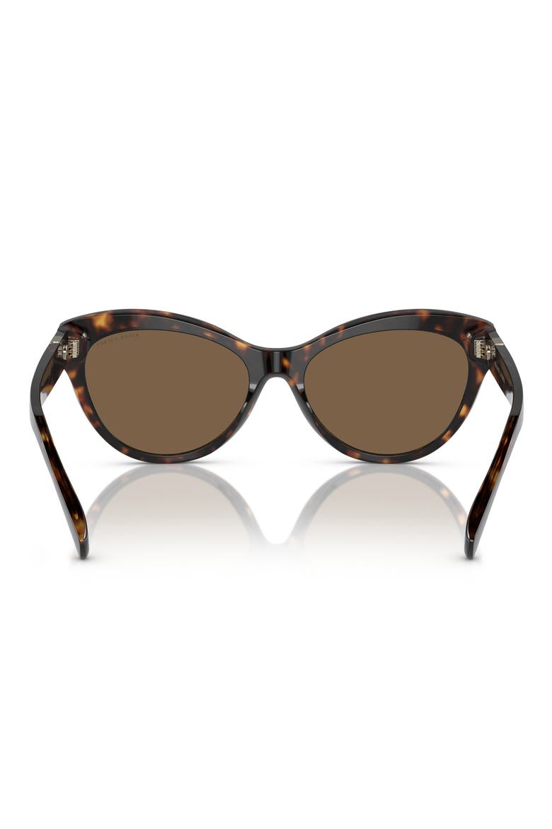 56mm Cat Eye Sunglasses, Alternate, color, HAVANA / BROWN