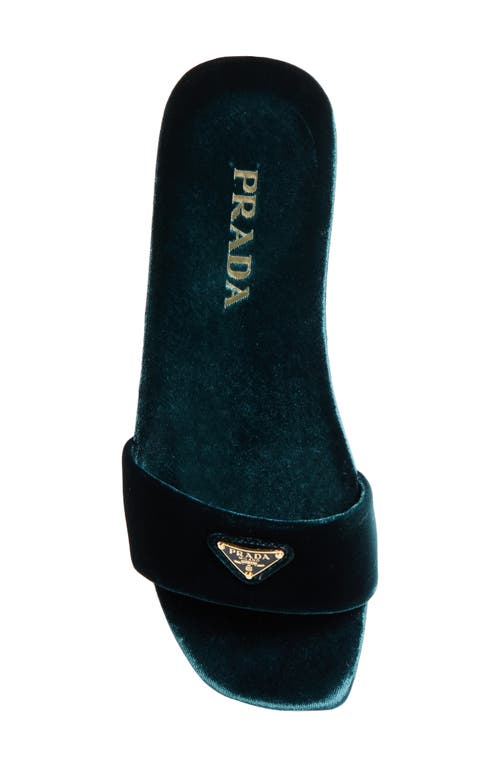 Shop Prada Logo Velvet Slide Sandal In Bottiglia