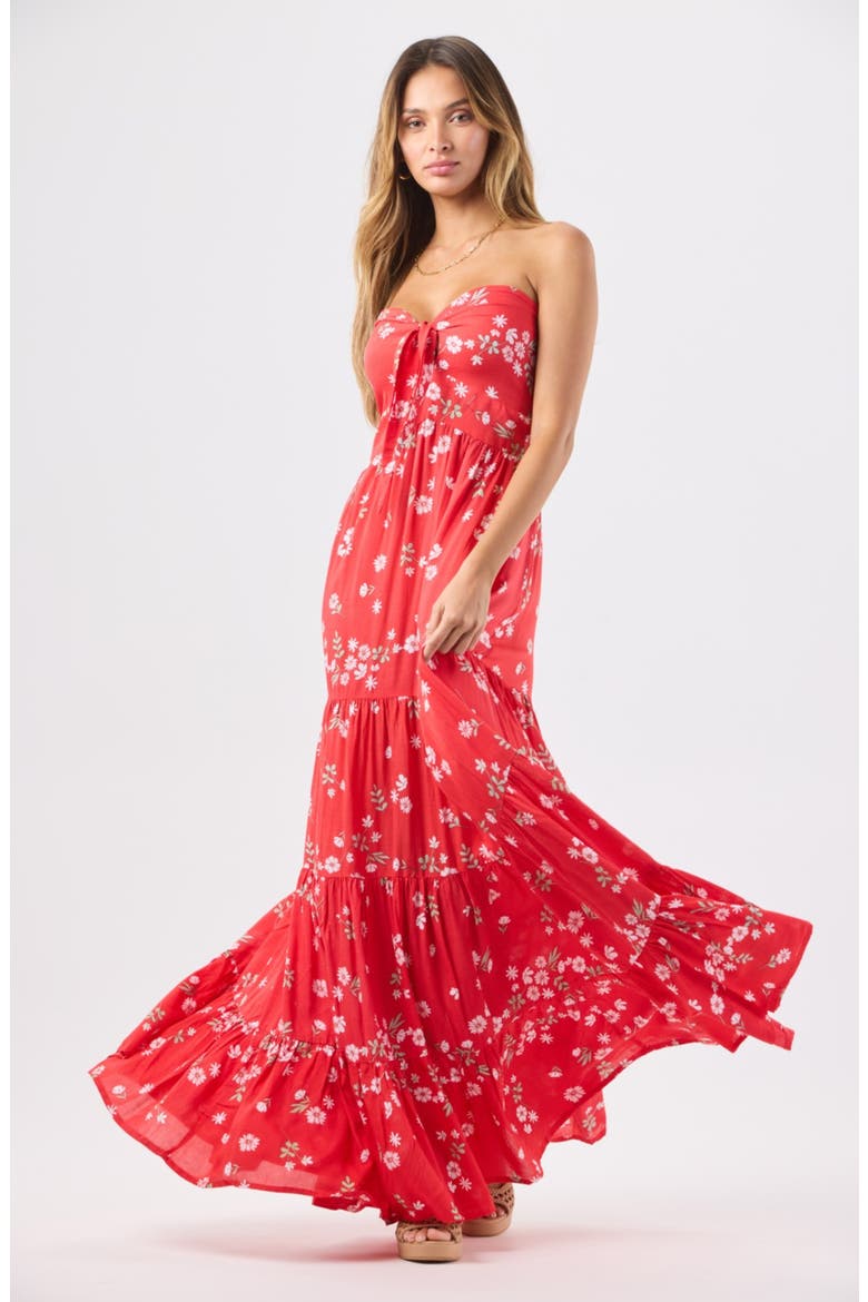 Gardenia Maxi Dress, Alternate, color, FLORET RED