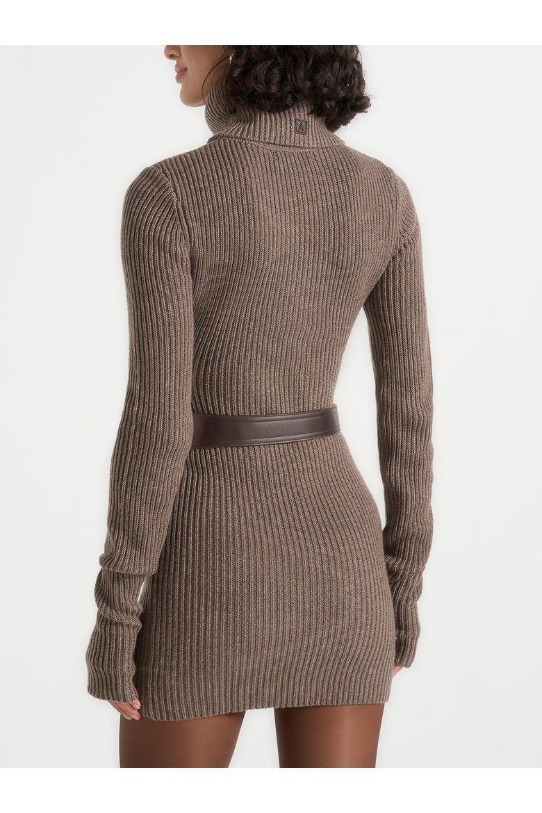 Kalia Roll Neck Knitted Mini Dress With Belt, Alternate, color, Taupe