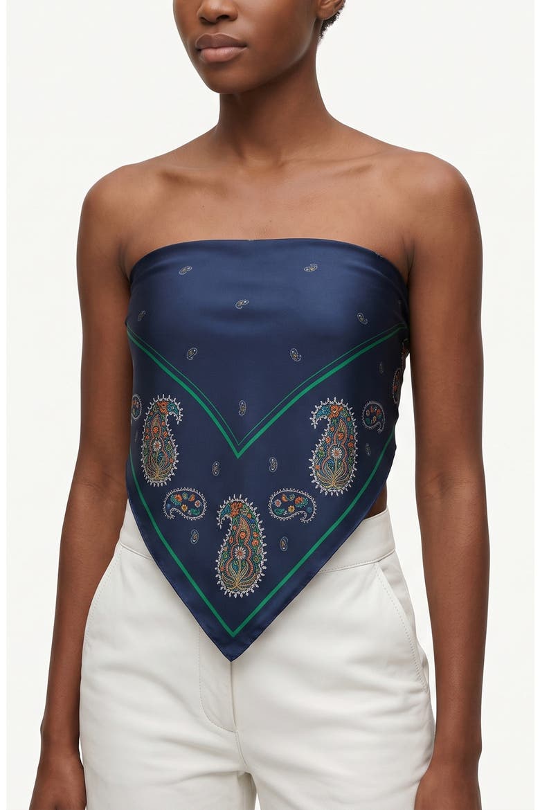Paisley Nocturne Double Sided Silk Scarf, Alternate, color, Blue
