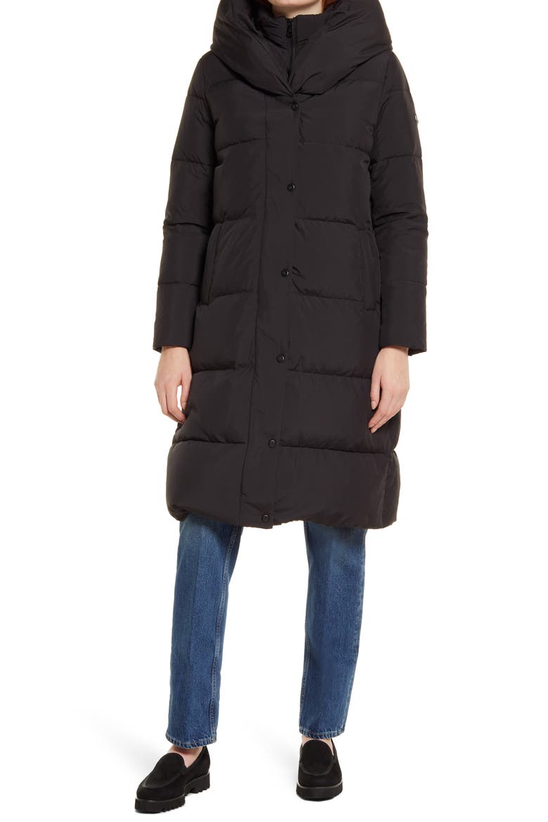 Pillow Collar Hooded Down & Feather Puffer Coat, Alternate, color, BLACK
