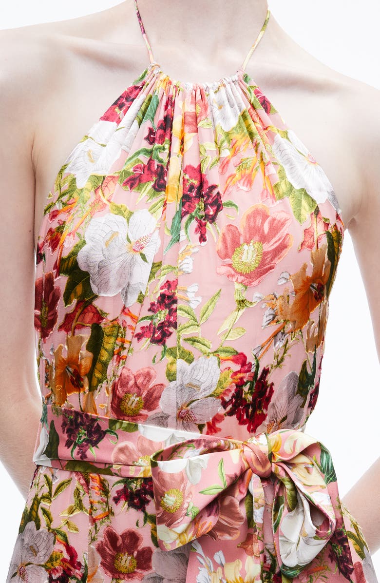 Alice + Olivia Dita Floral Print Halter Dress, Alternate, color, 