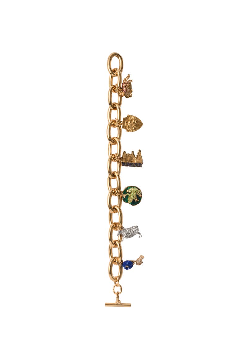 Charm Bracelet, Alternate, color, Gold/multicolour