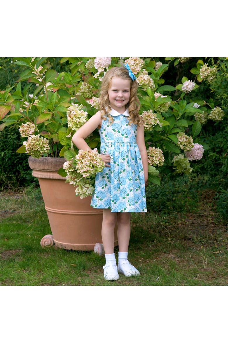 Hydrangea Peter Pan Collar Dress, Alternate, color, Blue