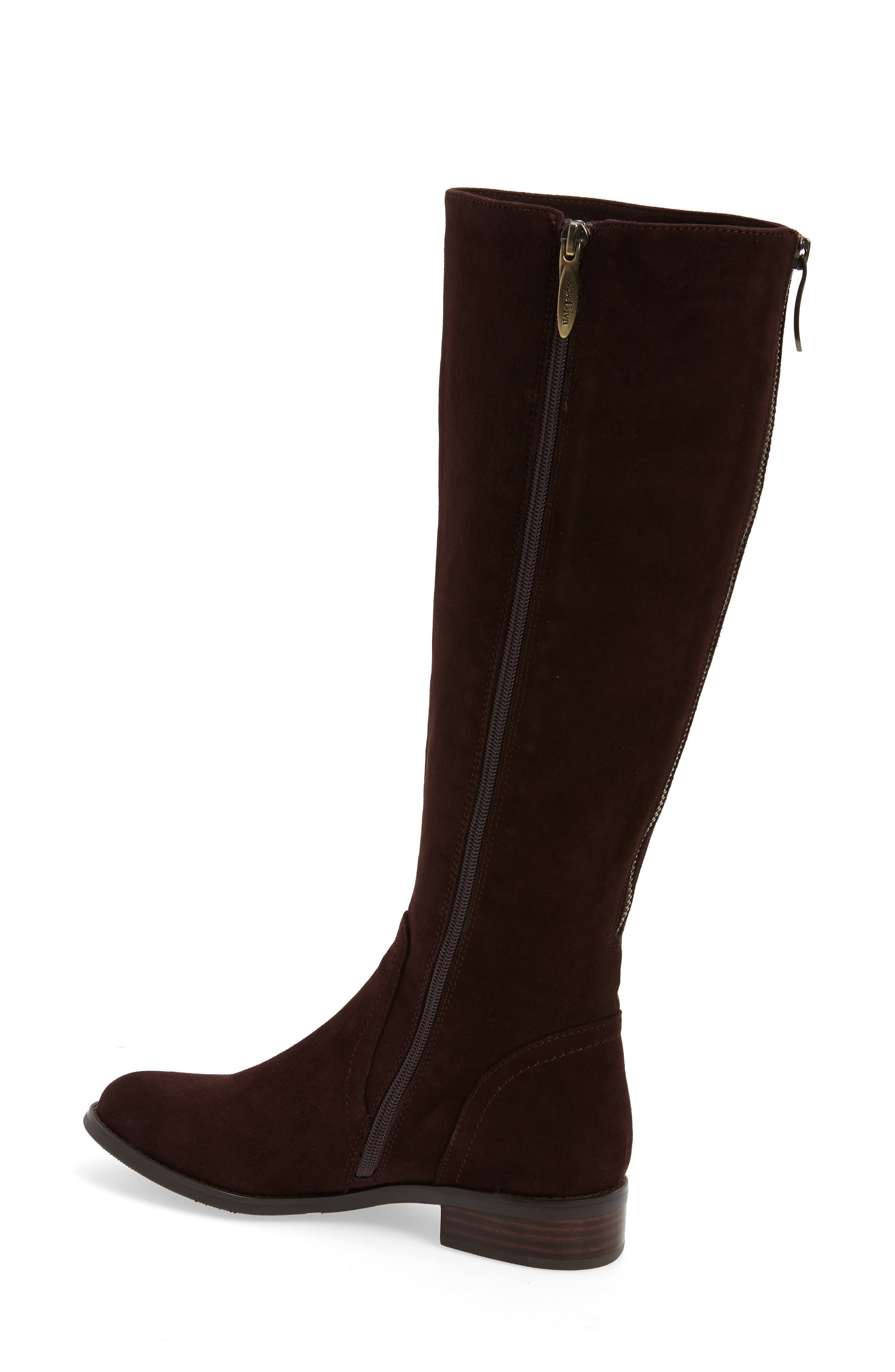 AquaDiva Montreal Waterproof Knee High Boot, Alternate, color, 