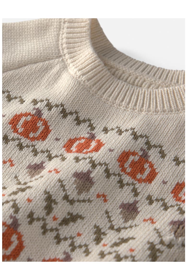 Kids' Pumpkin Organic Cotton Sweater, Alternate, color, LP FALL PUMPKIN