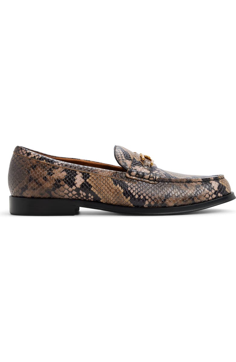 ALDO Edouard Bit Loafer, Alternate, color,