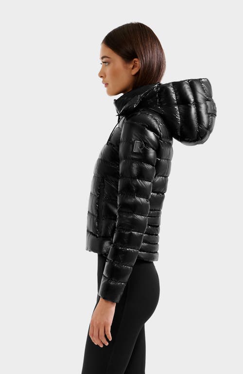 Rudsak Melissa Glossy Lightweight Down Puffer In Black