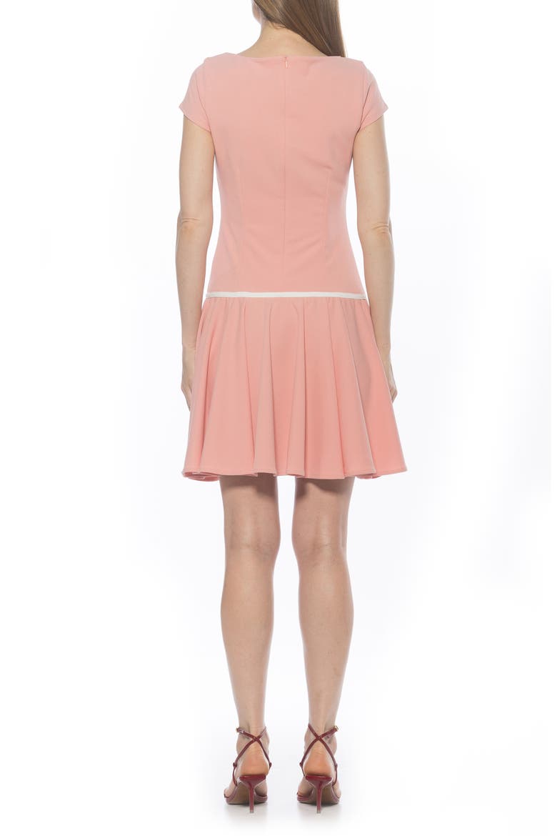 Drop Waist Dress, Alternate, color, BLUSH