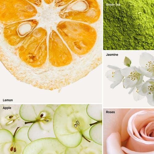 Dusa Fragrances Lemongrass I Green Tea In Multi