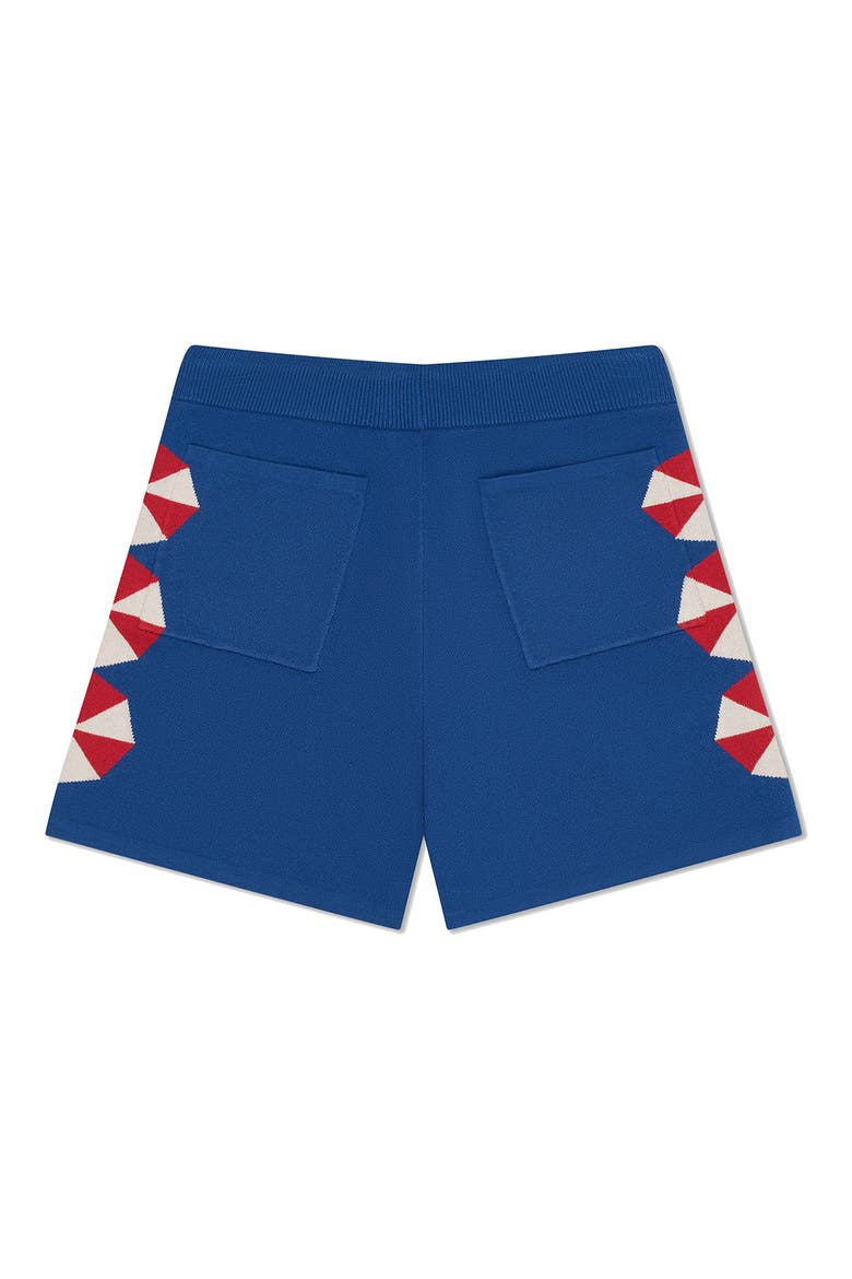 Umbrella Drawstring Sweater Shorts, Alternate, color, BLUE
