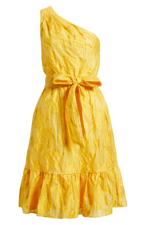 Anne Klein Floral Embroidered One-shoulder Midi Dress In Yellow