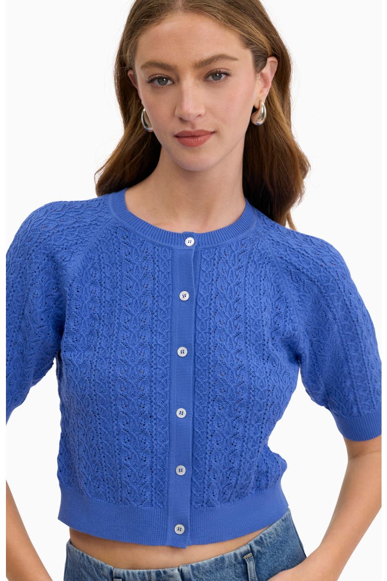 Verana Knit Cardigan, Alternate, color, Capri Blue