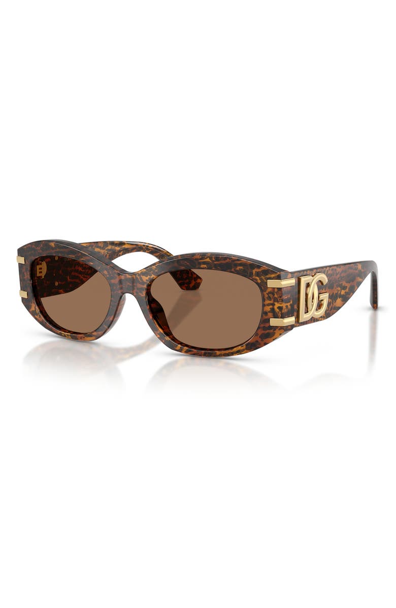 Dolce&Gabbana 55mm Oval Sunglasses, Alternate, color, Leo Transparent / Dark Brown