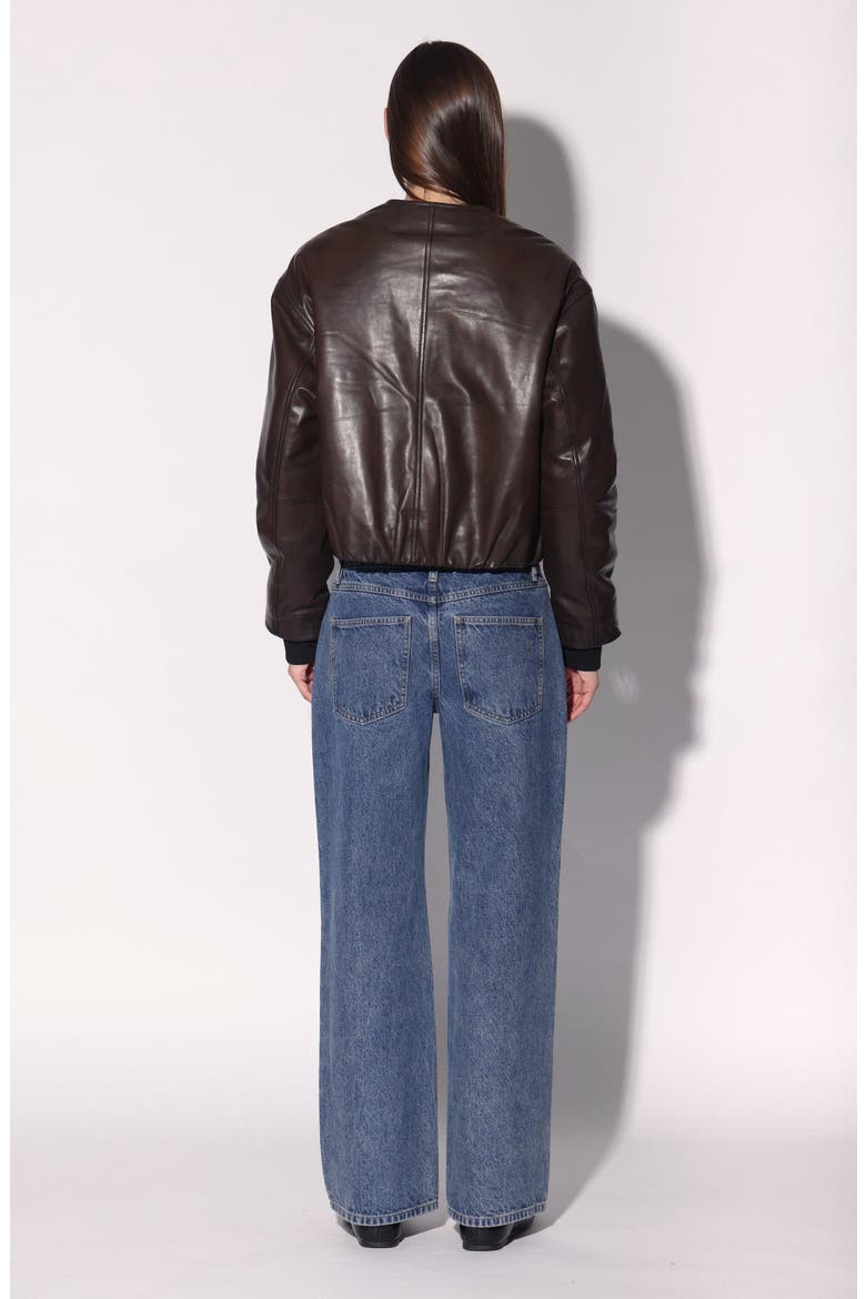 Jonas Leather Jacket, Alternate, color, Washed Brown