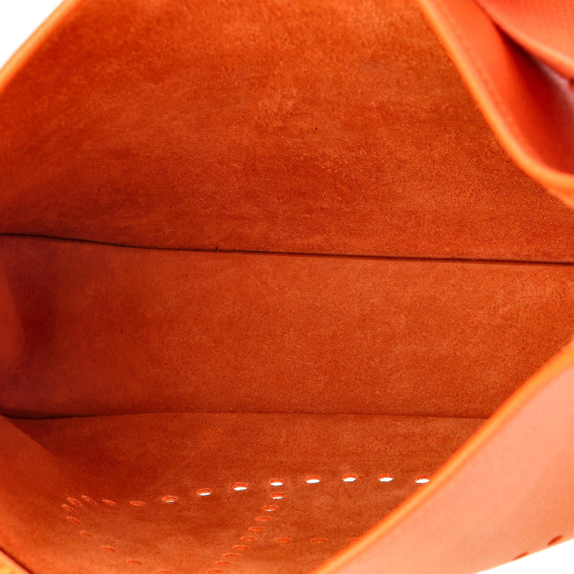 Evelyne Bag Gen III Epsom PM, Alternate, color, Orange