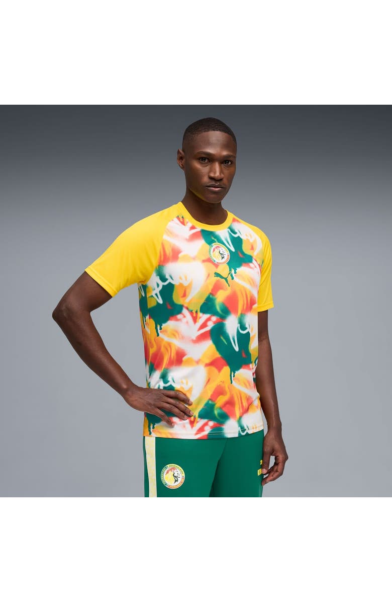 PUMA Men's Puma Yellow Senegal National Team Pre-Match Jersey, Main, color, Yellow