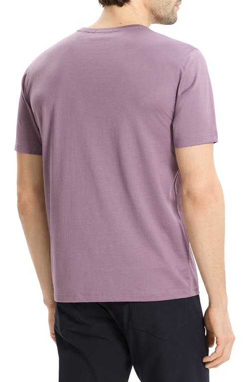 Theory Precise Cotton T-shirt In Purple