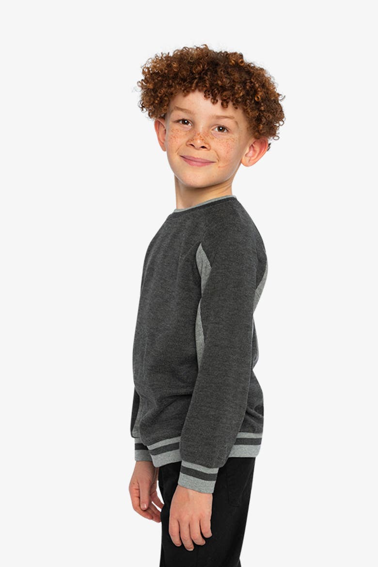 Ribbed Crew Neck Brushed Interior Sweatshirt, Alternate, color, Grey