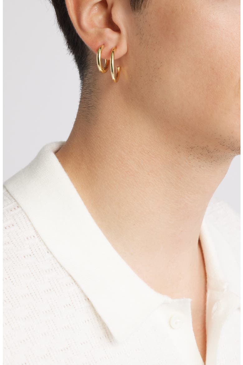 Demi Fine Set of 2 Hoop Earrings, Alternate, color, 14K GOLD PLATED