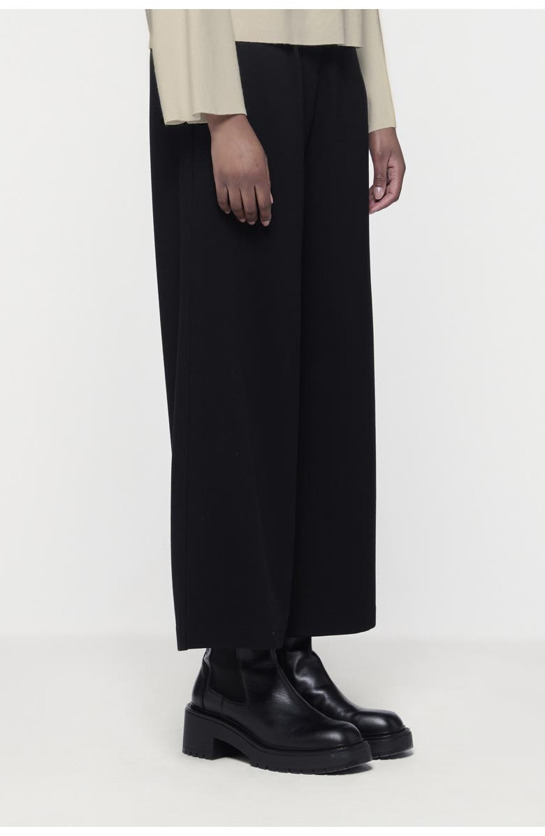 Leem Wide-Leg Pants, Alternate, color, Black