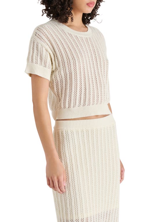 STEVE MADDEN STEVE MADDEN OPEN KNIT SWEATER TOP 