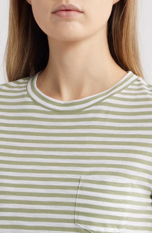CASLONR CASLON(R) COTTON & MODAL T-SHIRT 