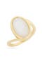 selected Clear / Gold