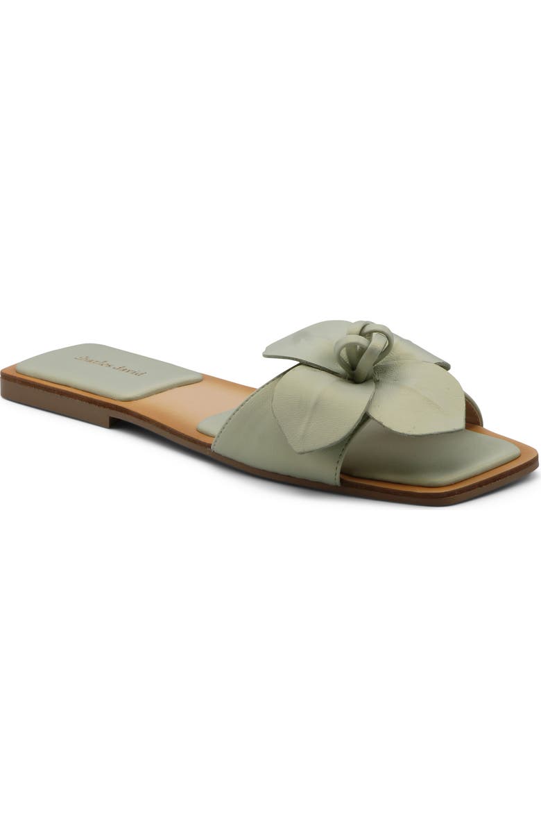 Charles David Ovum Slide Sandal, Main, color,
