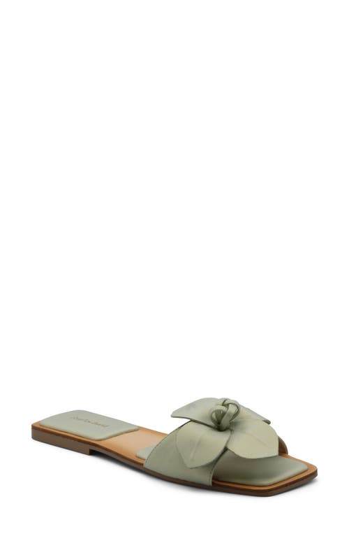 Charles David Ovum Slide Sandal In Celery