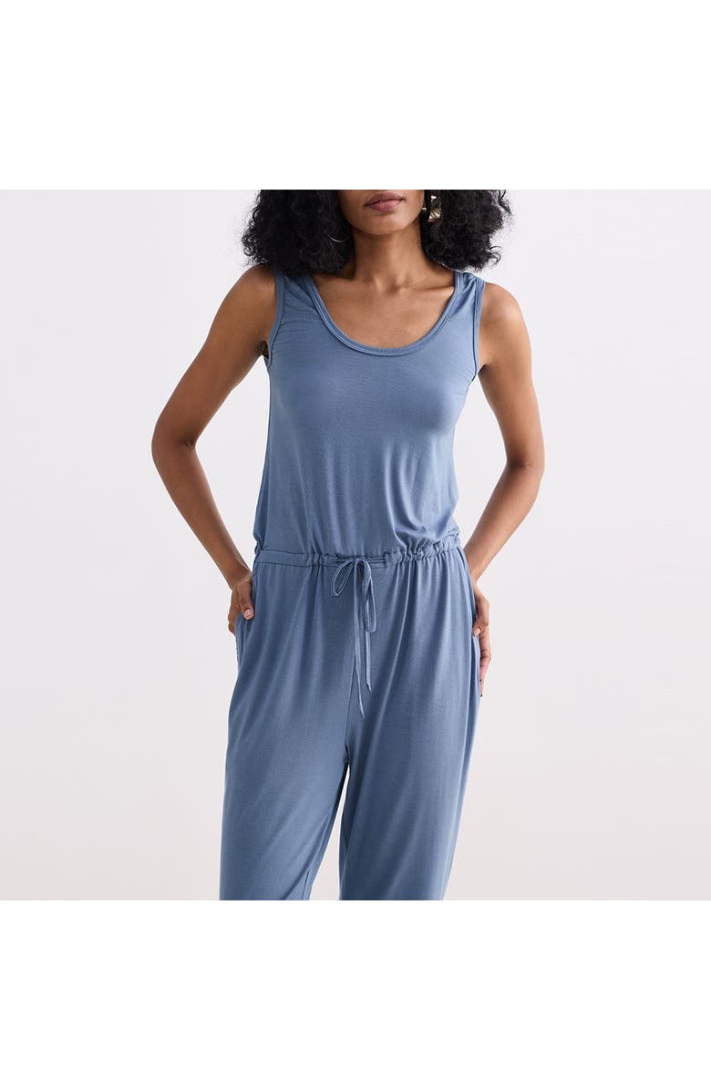 Reistor Relaxed Drawstring Jumpsuit in Blue, Alternate, color, Solid